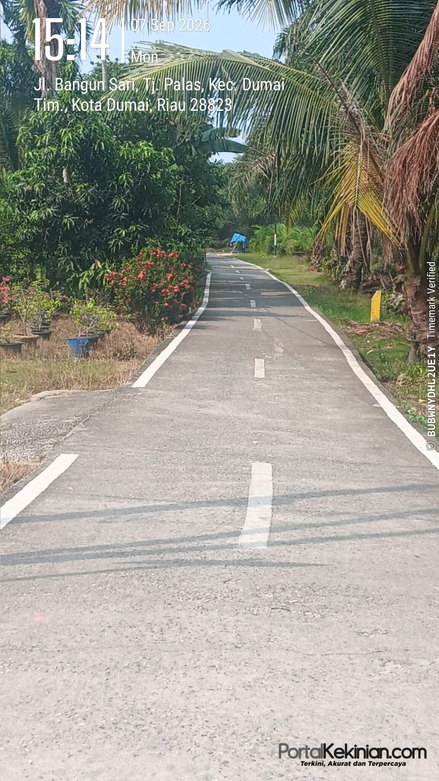 Gang Sempit Dipoles Marka, Jalan Utama Terabaikan: Prioritas APBD Dumai Dipertanyakan
