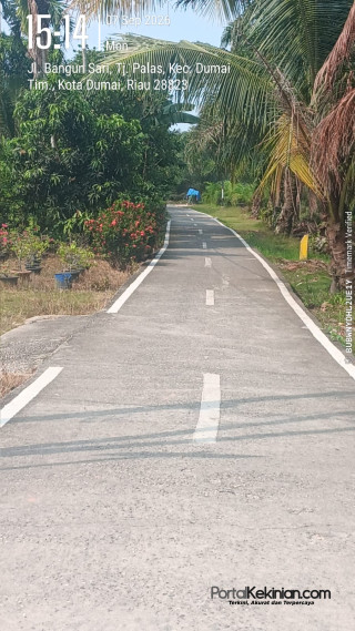 Gang Sempit Dipoles Marka, Jalan Utama Terabaikan: Prioritas APBD Dumai Dipertanyakan